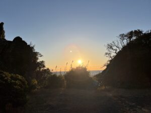 ☆2026年　新年あけましておめでとうございます☆