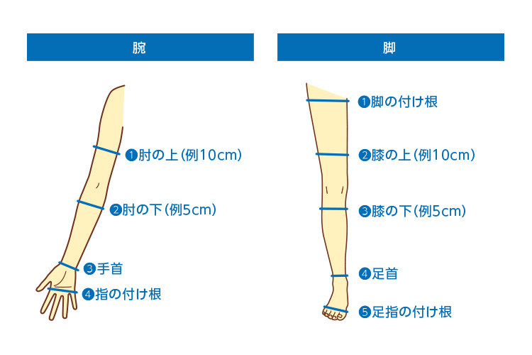 基準の例：肘の上、肘の下、手首、指の付け根。脚の付け根、膝の上、膝の下、足首、足指の付け根